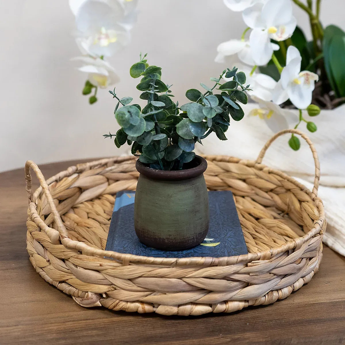 Candlelight Green 18cm Chinese Money Artificial plant in Green Ceramic Pot