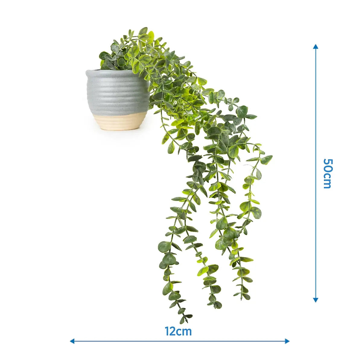50cm Eucalyptus Artificial plant in Grey Ceramic Pot