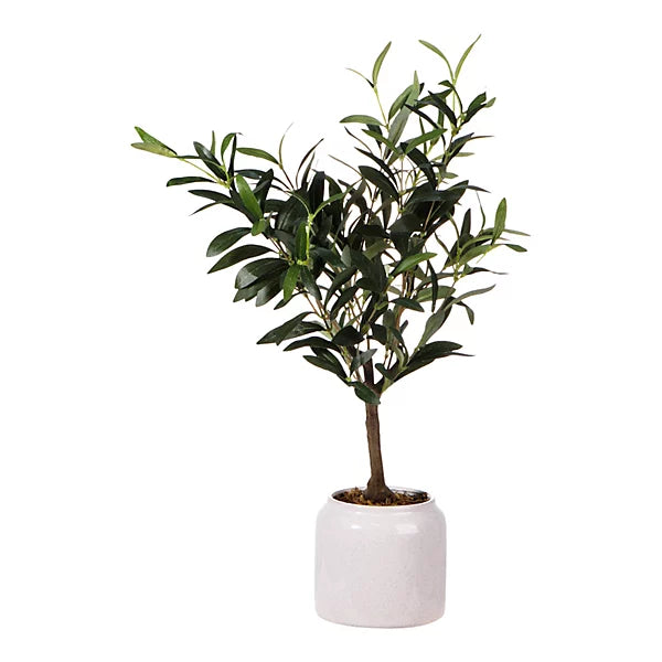 Green 58cm Olive Artificial plant in Cream Speckled Ceramic Pot