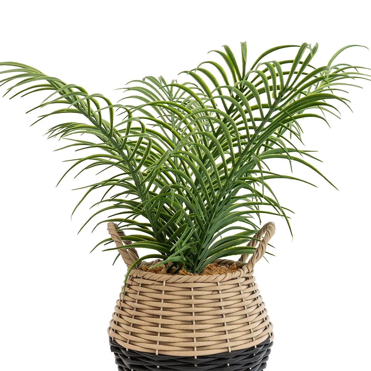 Candlelight Green 20cm Palm Artificial plant in Natural Wicker Basket