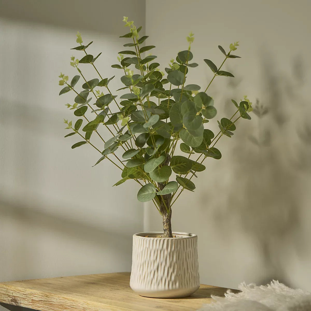 Green 62cm Eucalyptus Artificial plant in Natural Ceramic Pot