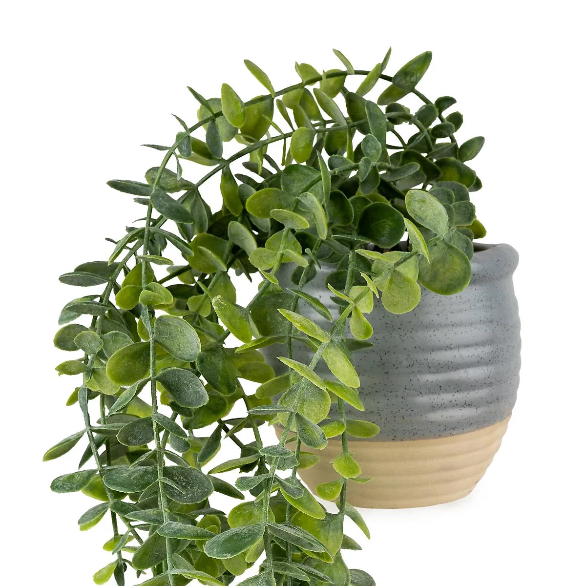 50cm Eucalyptus Artificial plant in Grey Ceramic Pot