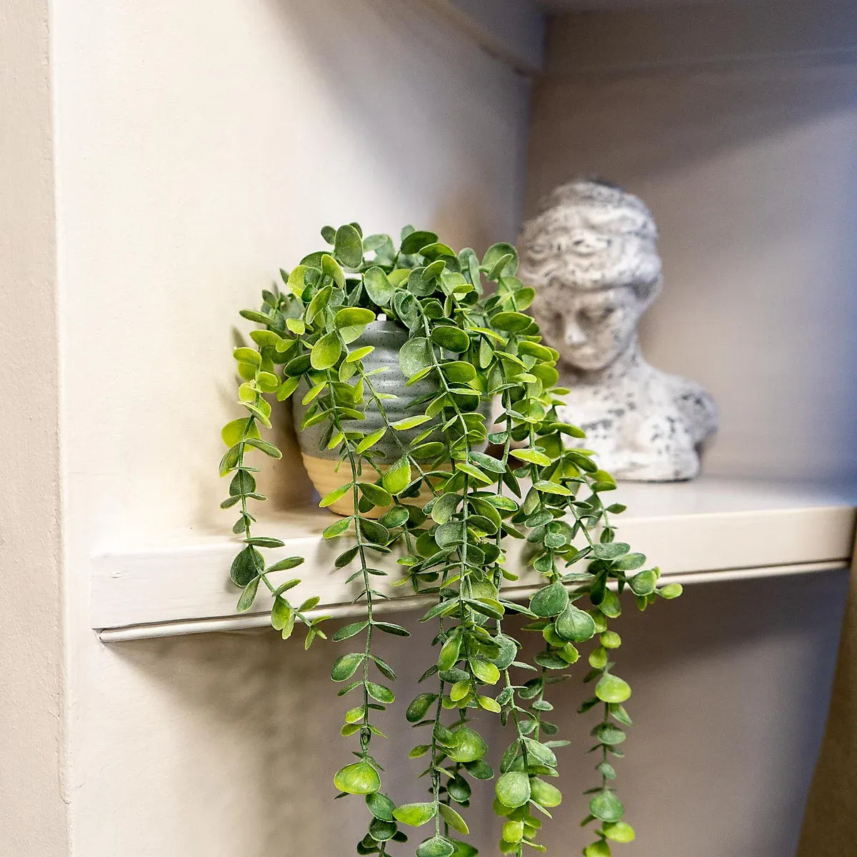 50cm Eucalyptus Artificial plant in Grey Ceramic Pot